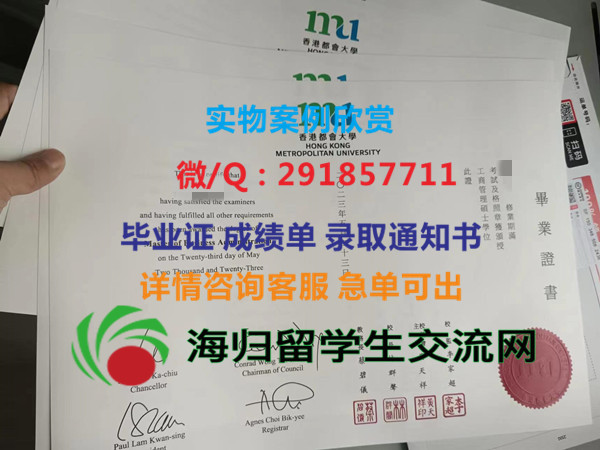 香港都会大学