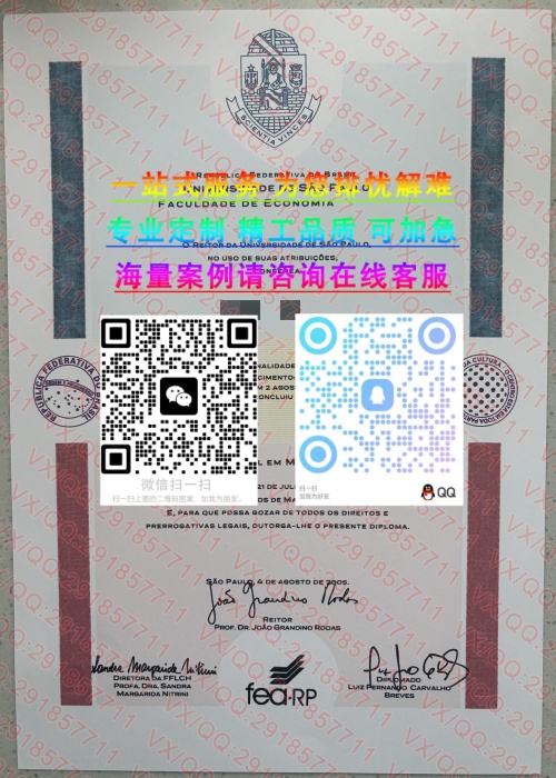 巴西圣保罗大学_副本