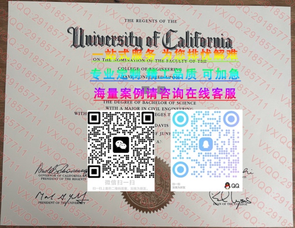 加州戴维斯大学_副本