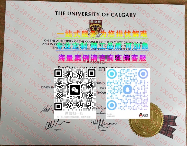 卡尔加里大学_副本