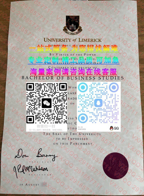 利莫瑞克大学 (1)_副本