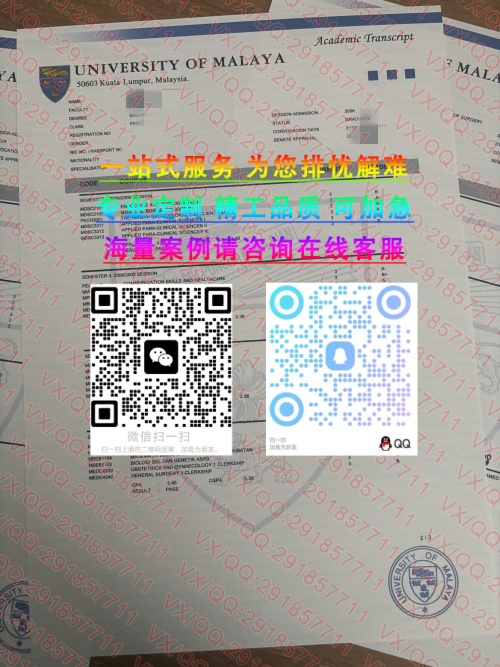 马来亚大学毕+成 (7)_副本