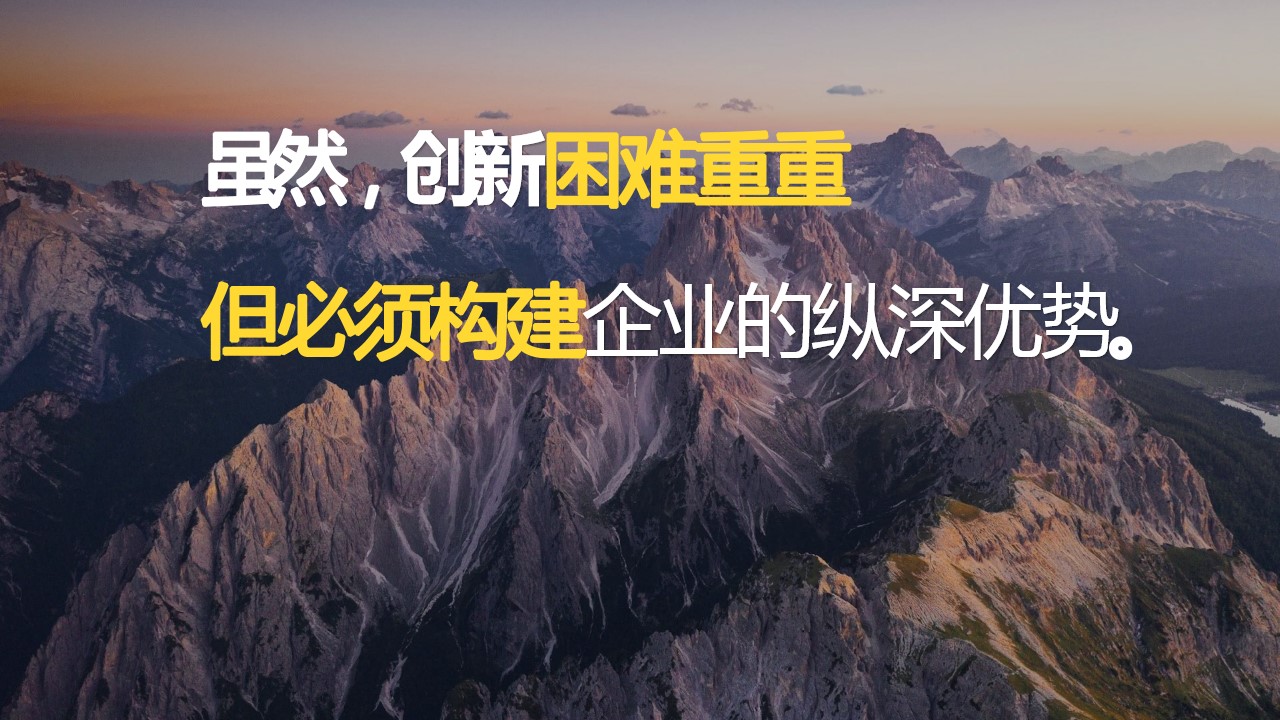 描述