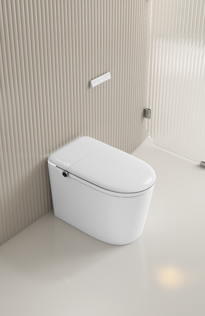 CDN206 Smart toilet