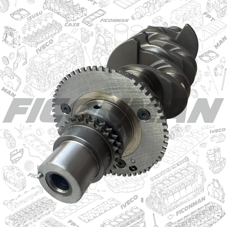 F1C Crankshaft 502295017