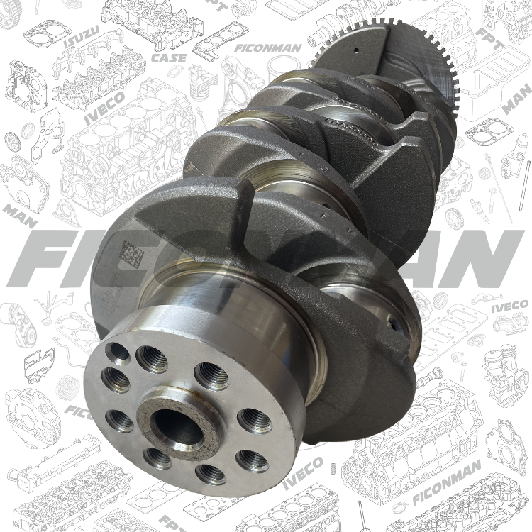 F1C Crankshaft 502295017