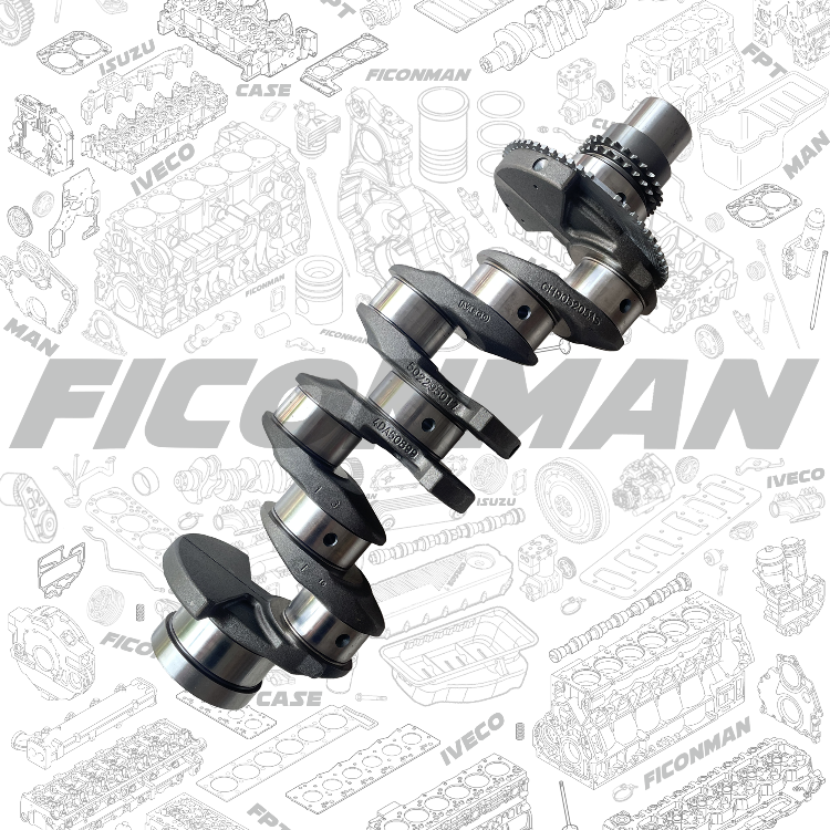 F1C Crankshaft 502295017