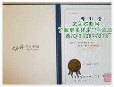 韩国中央大学毕业证样本=补办模板图片