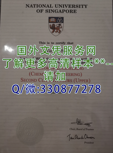 新加坡国立大学毕业证样本=补办模板图片