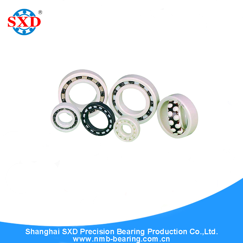 Ceramic Bearing