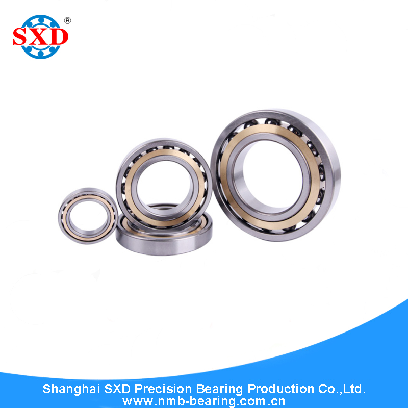 Angular Contact Ball Bearing