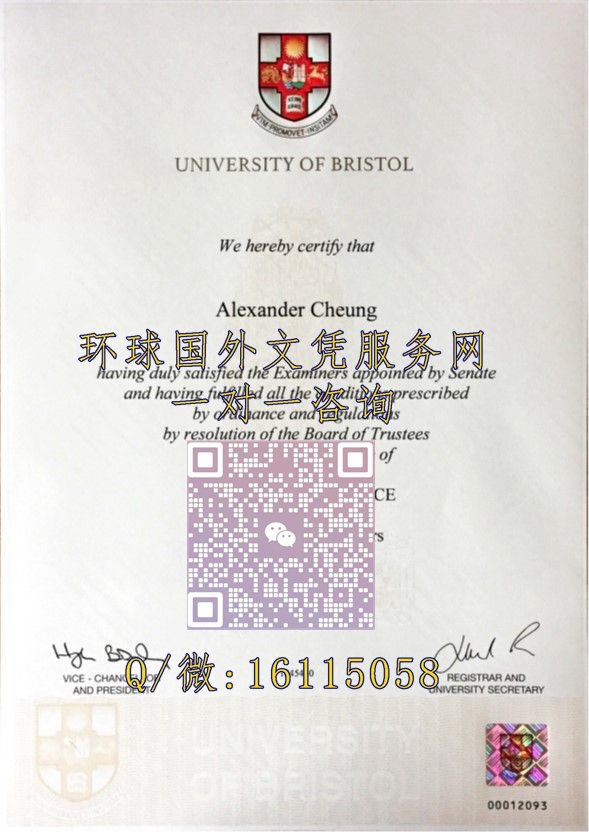 布里斯托大学_副本