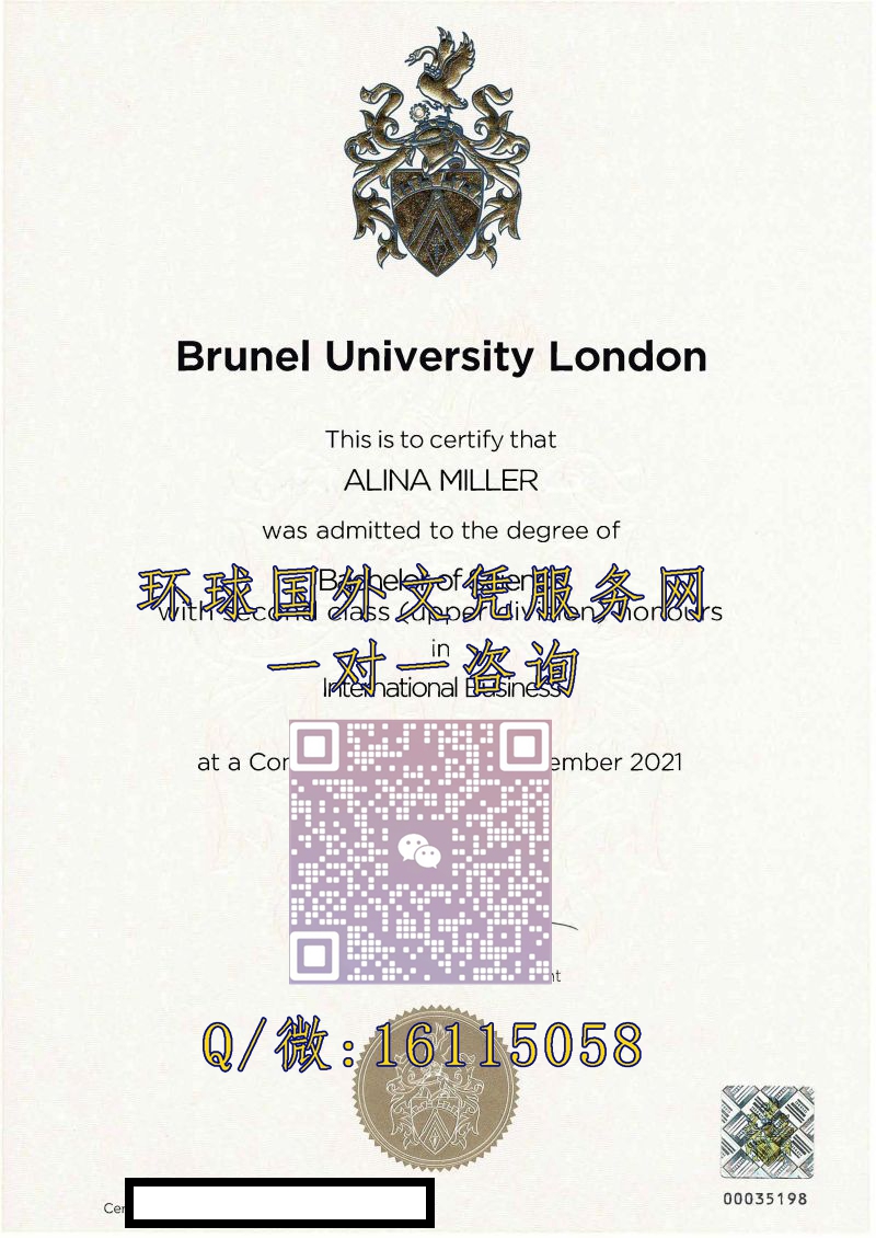 布鲁内尔大学_副本
