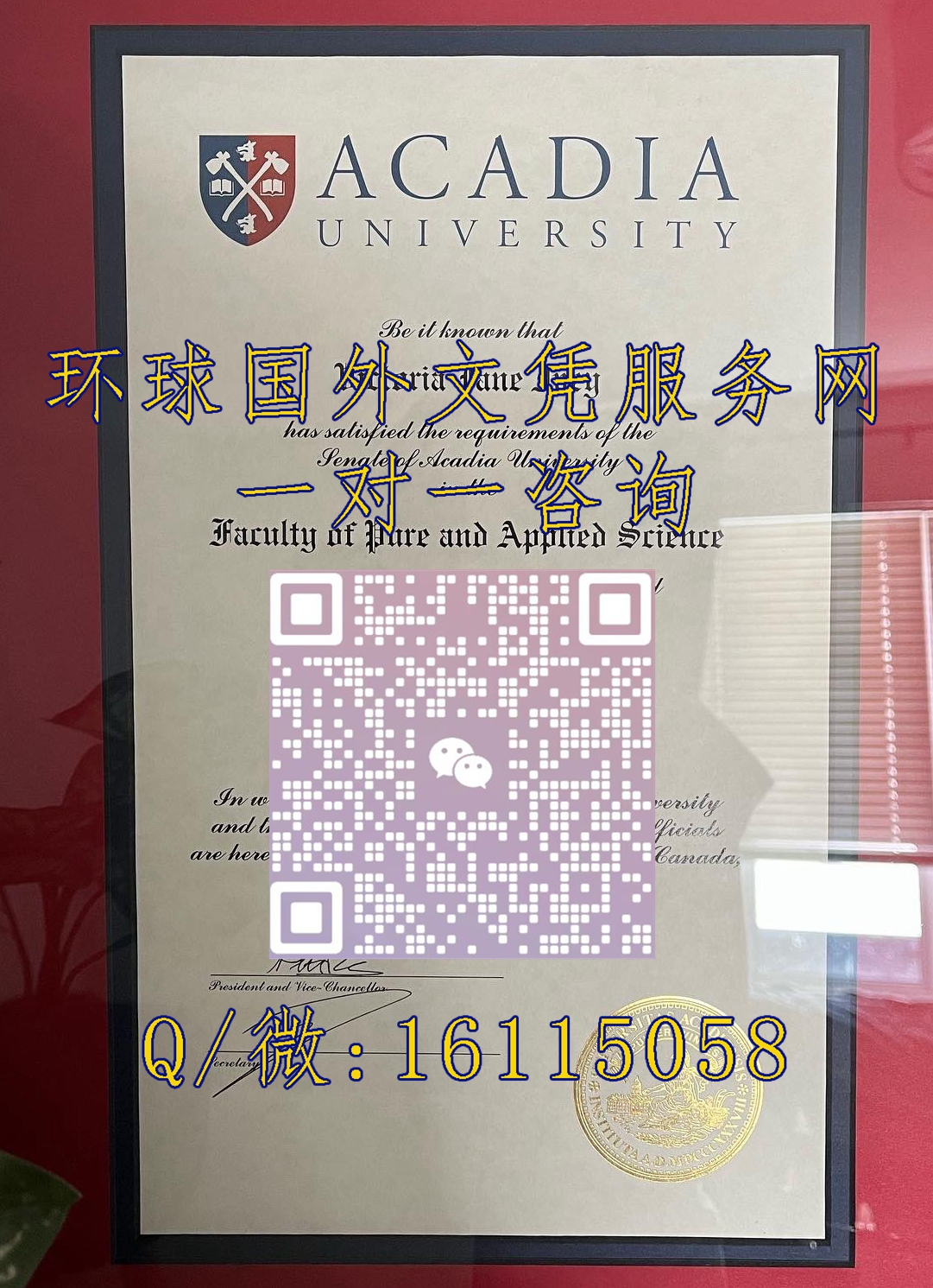 加拿大阿卡迪亚大学_副本