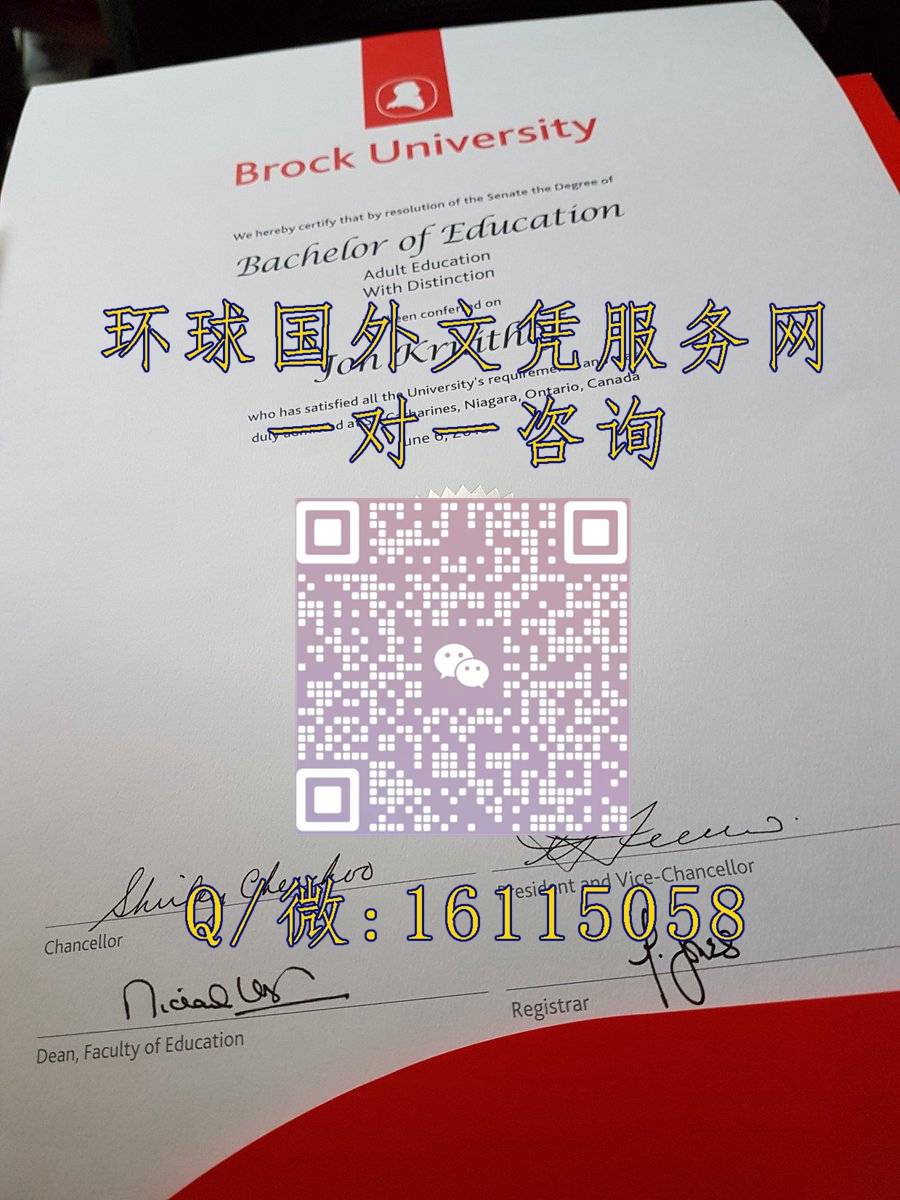 加拿大布鲁克大学_副本