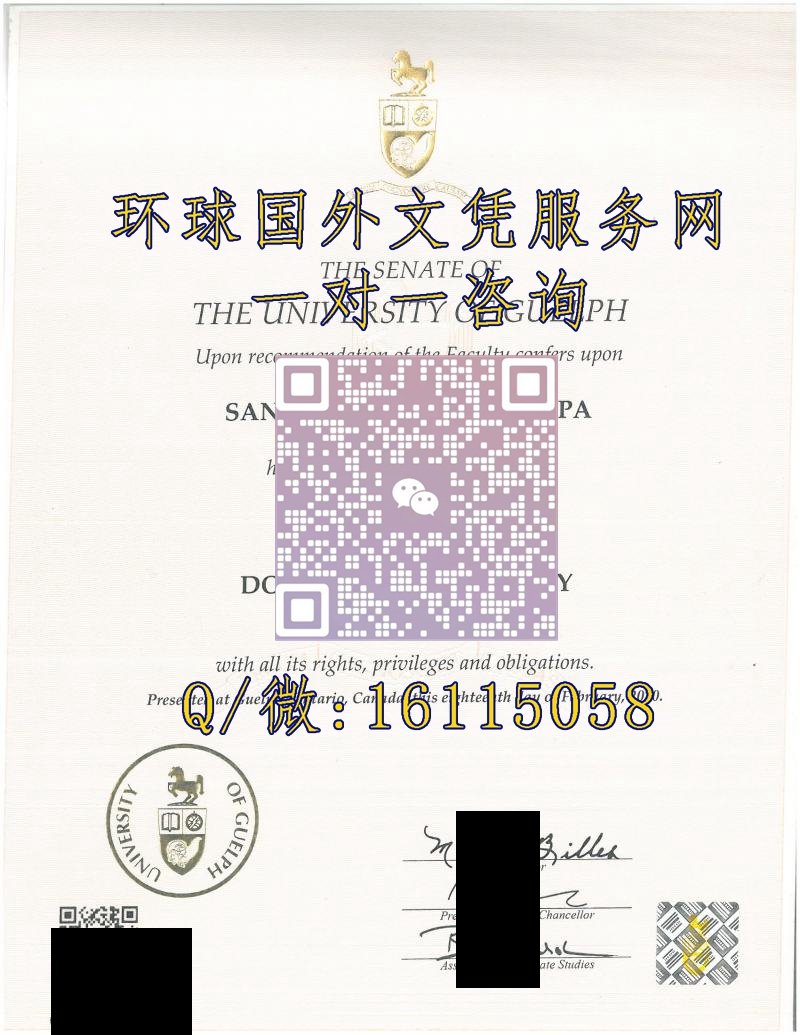 加拿大圭尔夫大学_副本