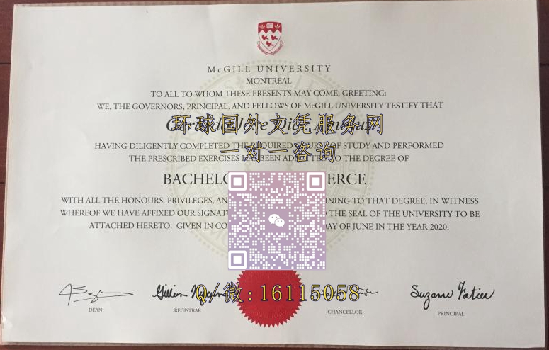 加拿大麦吉尔大学_副本
