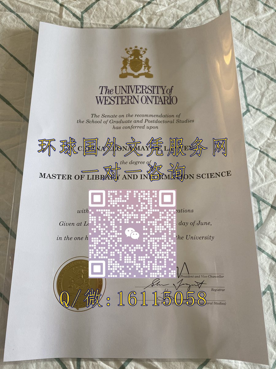 加拿大西安大略大学_副本