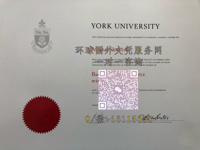 加拿大约克大学_副本