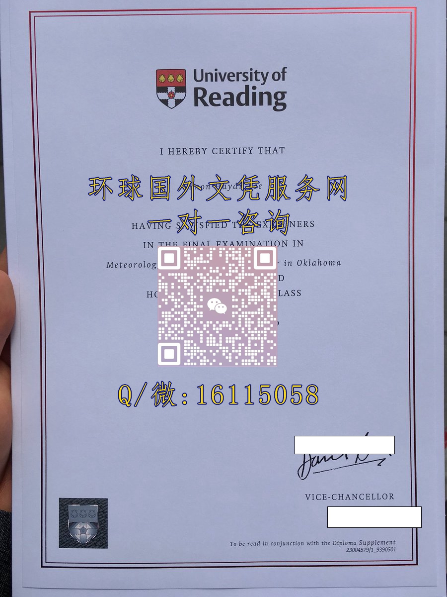 雷丁大学_副本