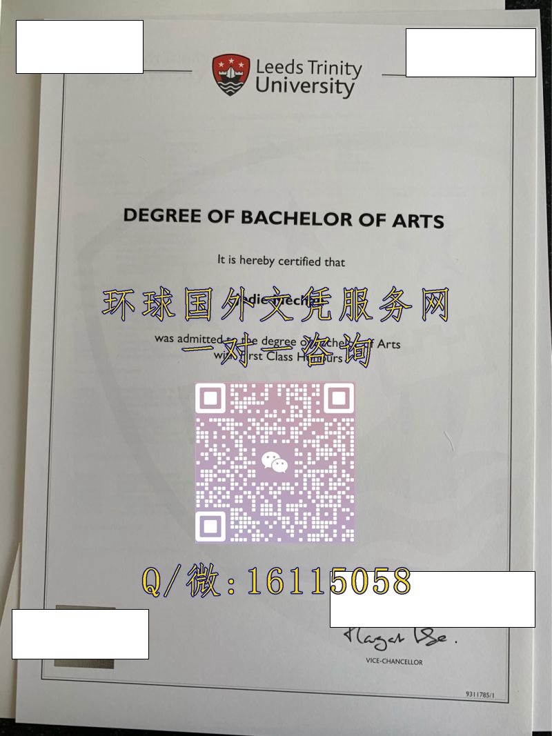 利兹三一大学_副本