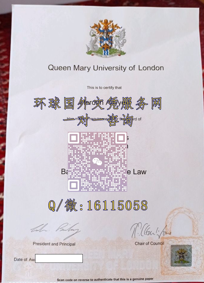 伦敦大学玛丽女王学院_副本