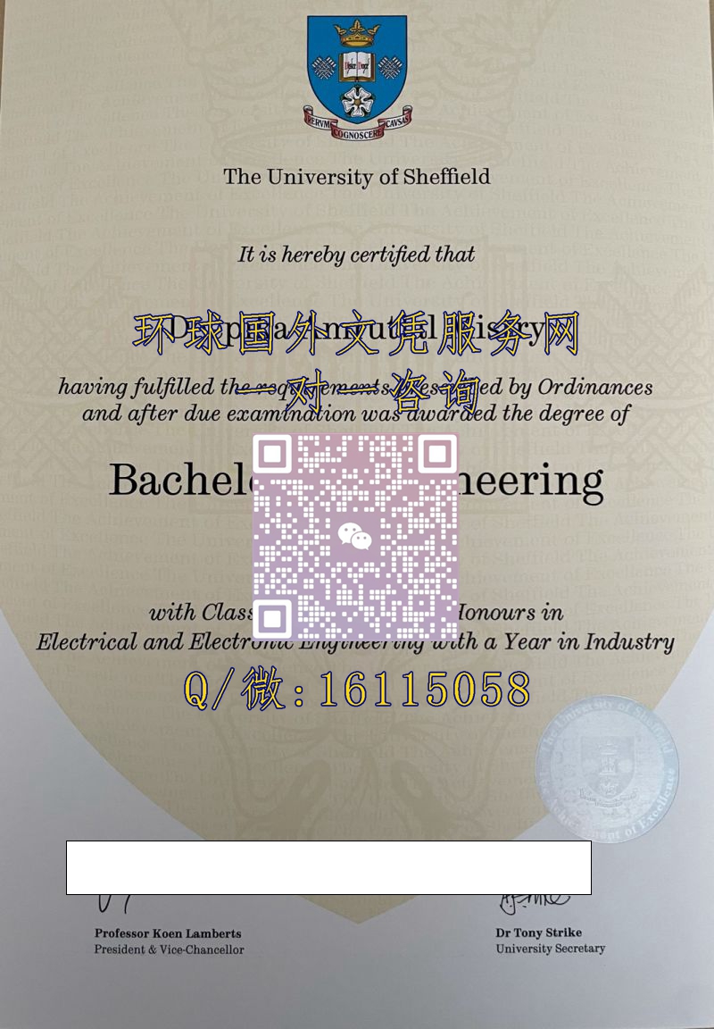 谢菲尔德大学_副本