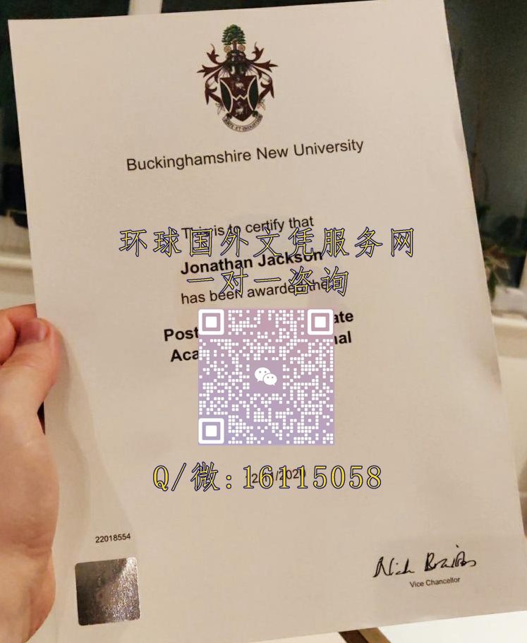 新白金汉大学_副本