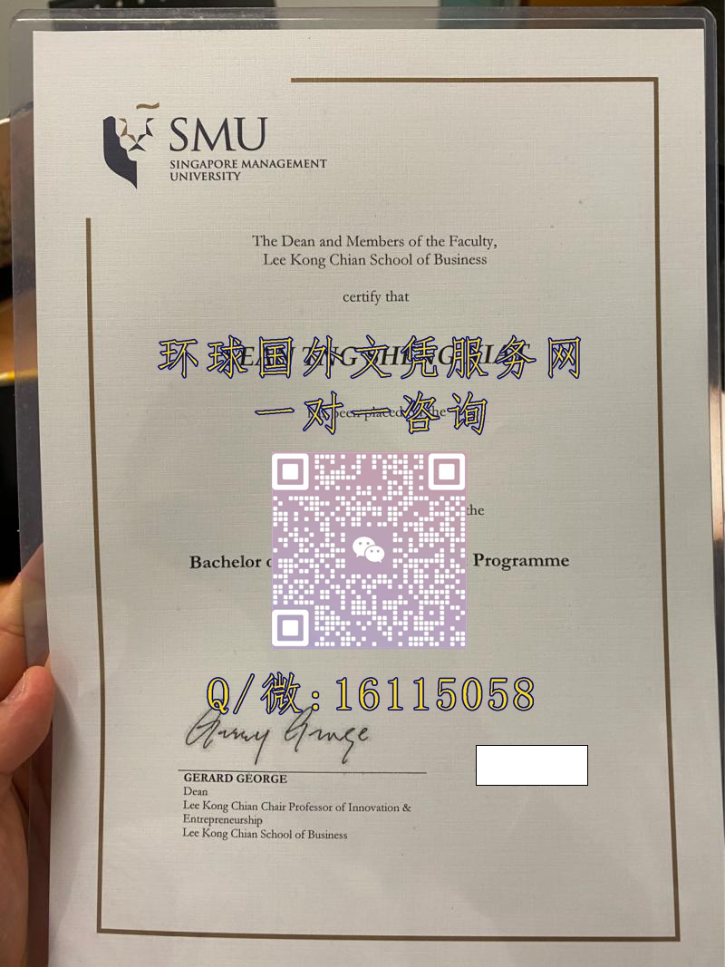 新加坡管理大学_副本