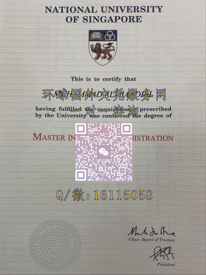 新加坡国立大学_副本