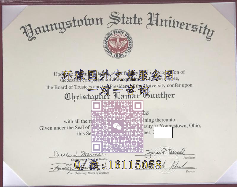 扬斯敦州立大学_副本