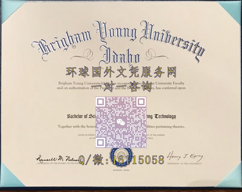 杨百翰大学_副本