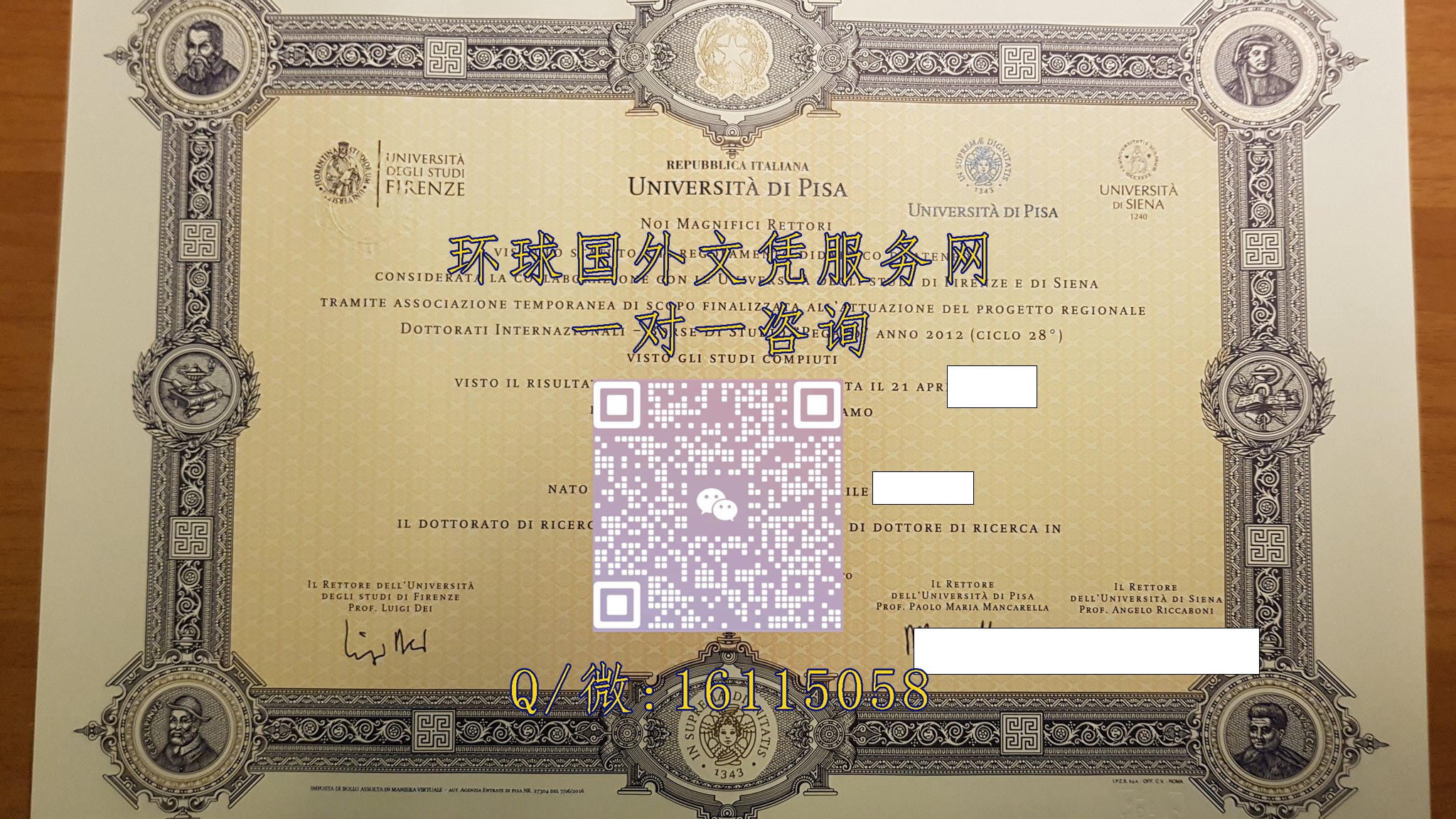 意大利比萨大学_副本