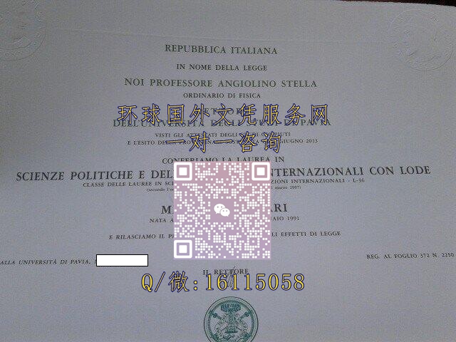 意大利帕维亚大学_副本