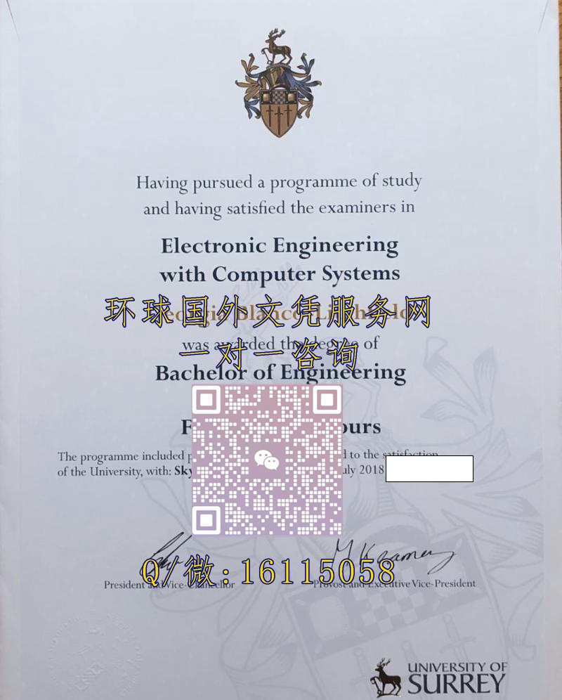 英国萨里大学_副本