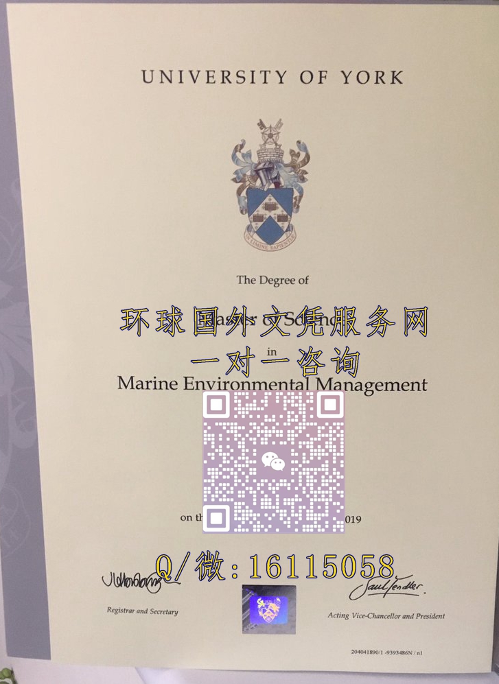 英国约克大学_副本