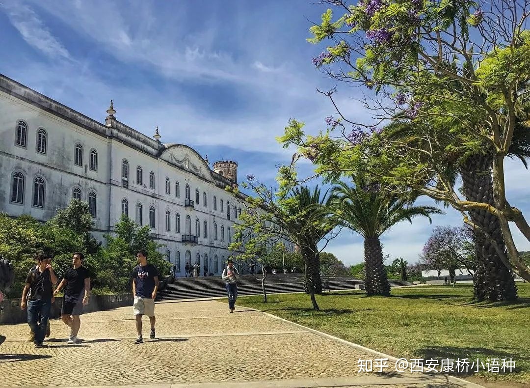 工作签证改革应该单骑...