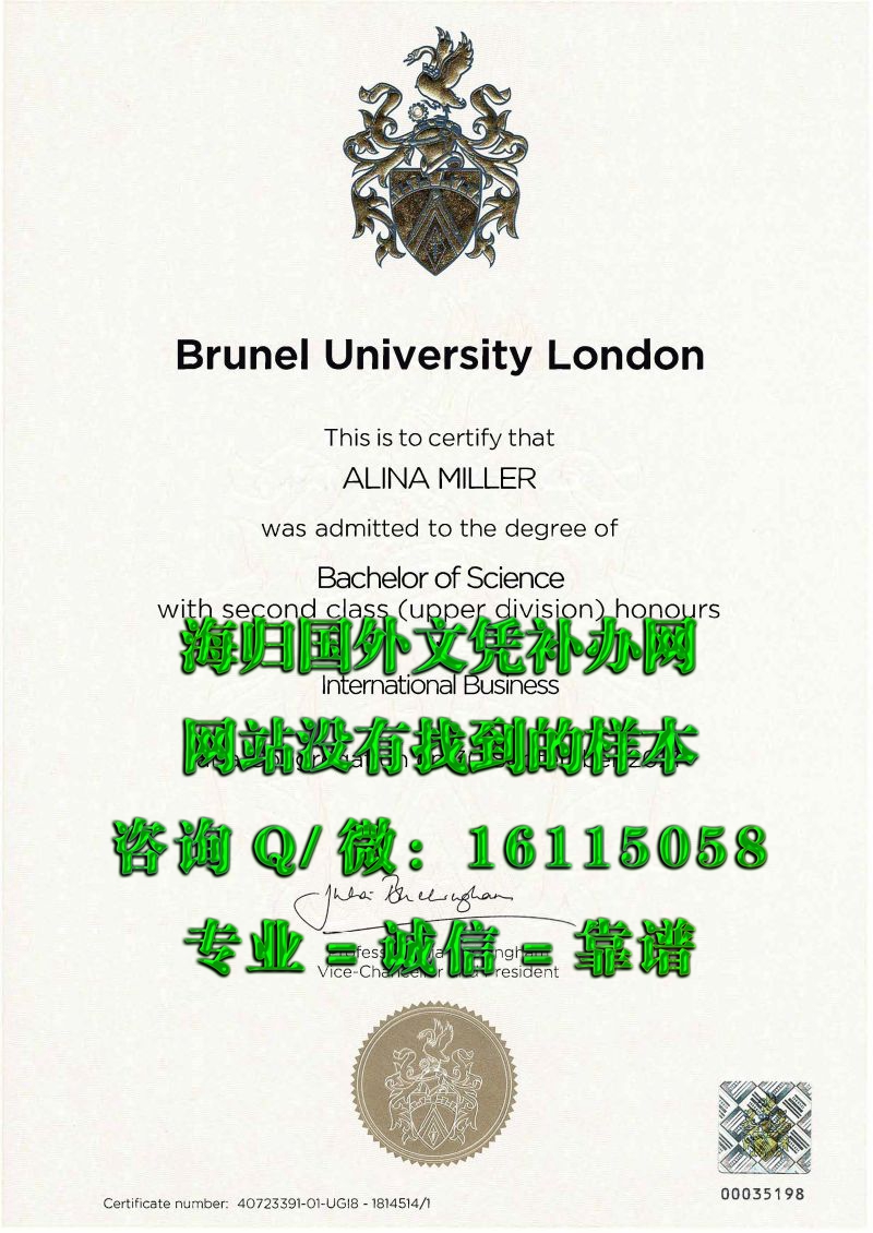布鲁内尔大学_副本_20230519_20165786