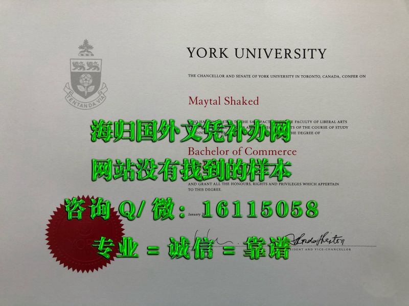 加拿大约克大学_副本_20230522_110402603