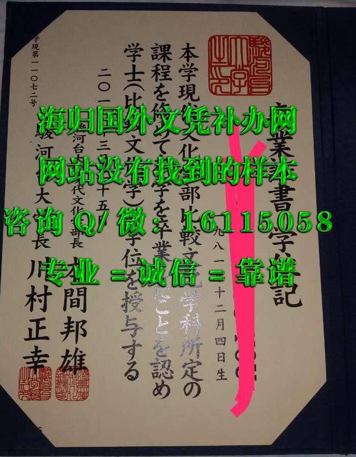 骏河台大学 (2)_副本