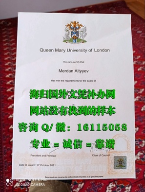 伦敦大学玛丽女王学院_副本_20230522_113920884