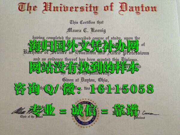 美国戴顿大学_副本