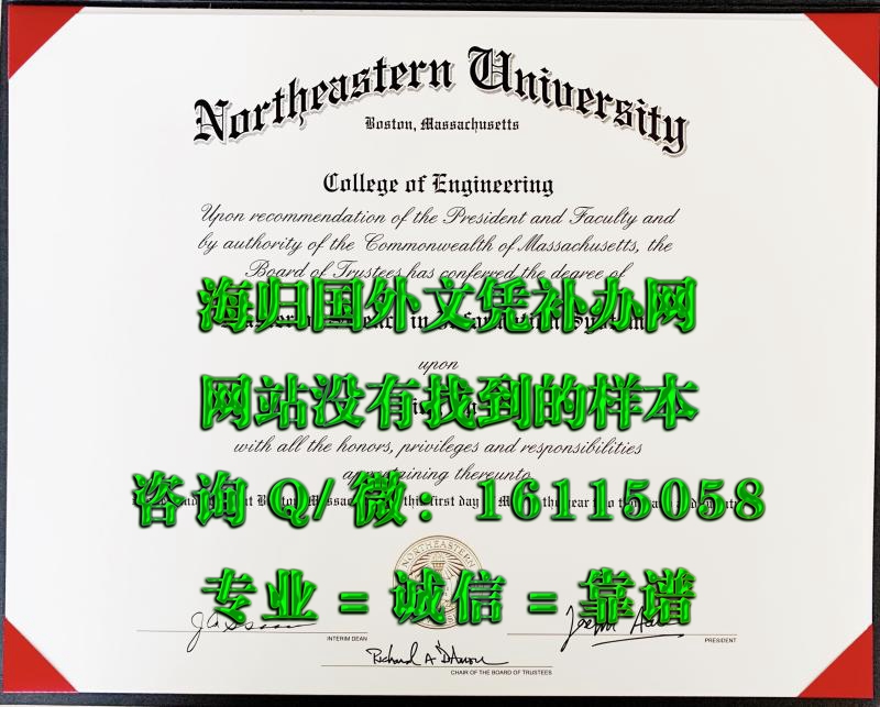 美国东北大学_副本
