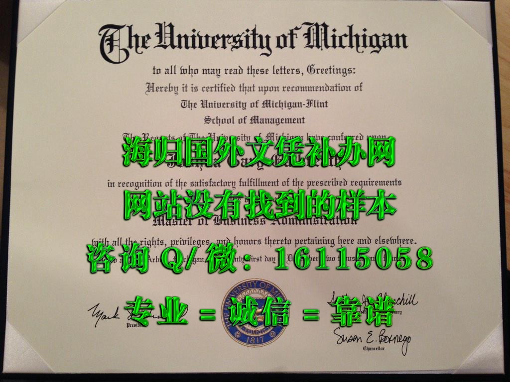 美国密歇根大学_副本