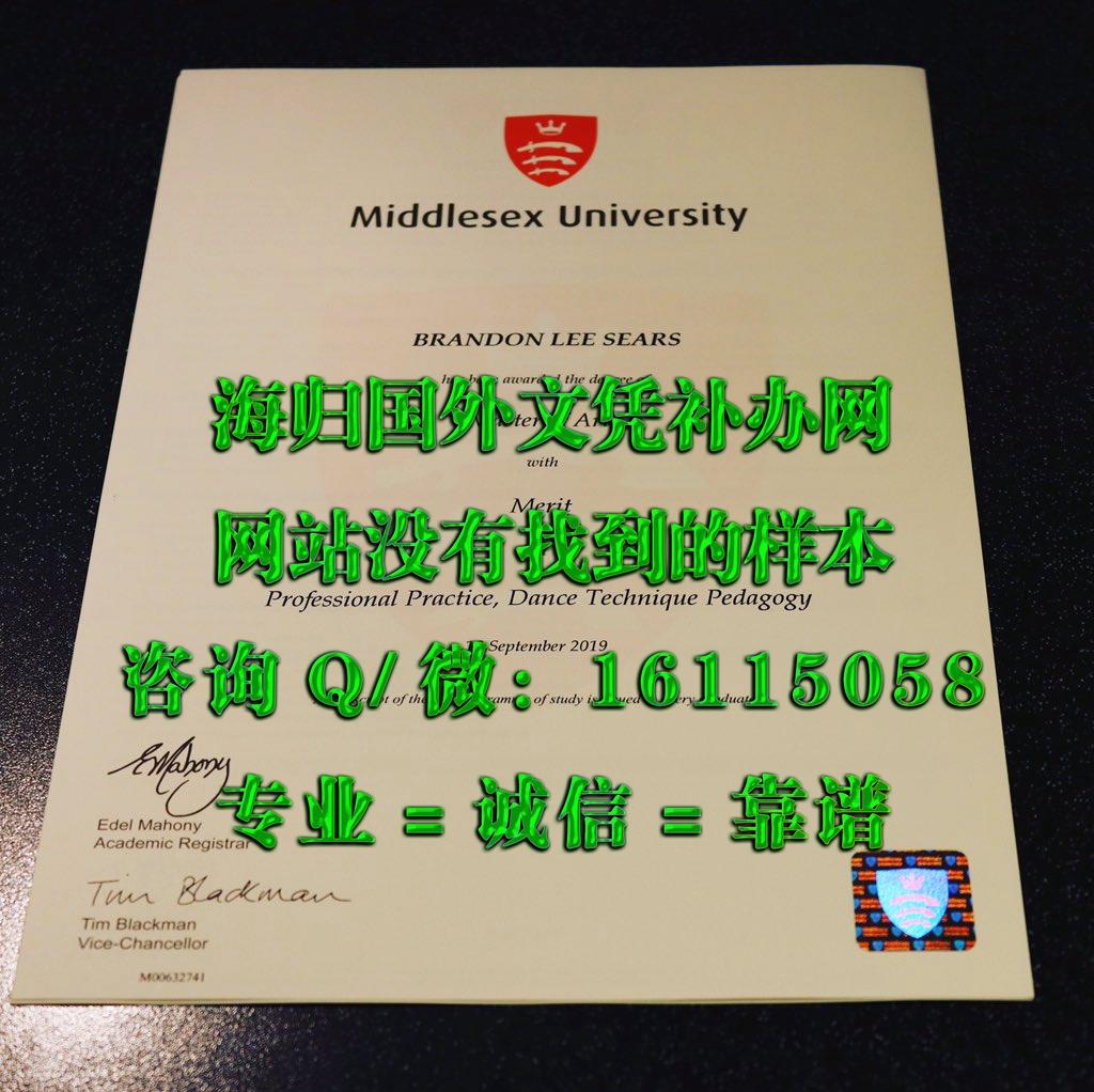 密德萨斯大学_副本