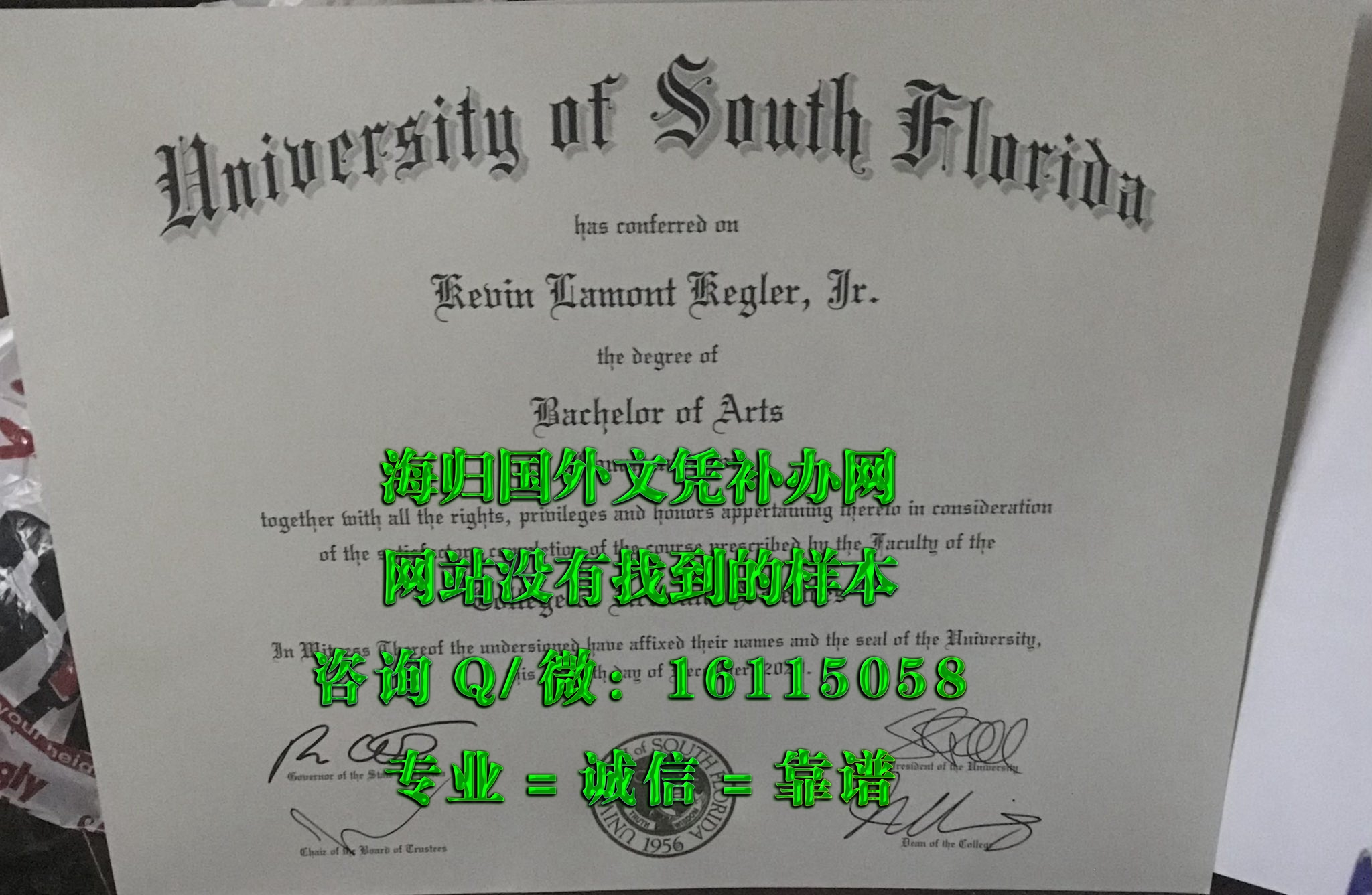 南佛罗里达大学_副本