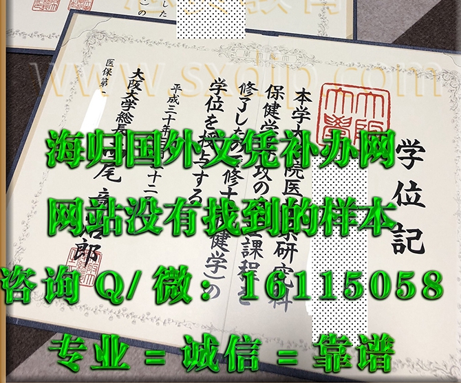 日本大阪大学_副本