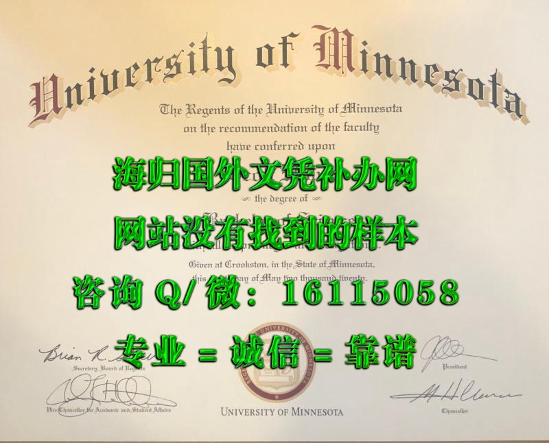 美国明尼苏达大学_副本