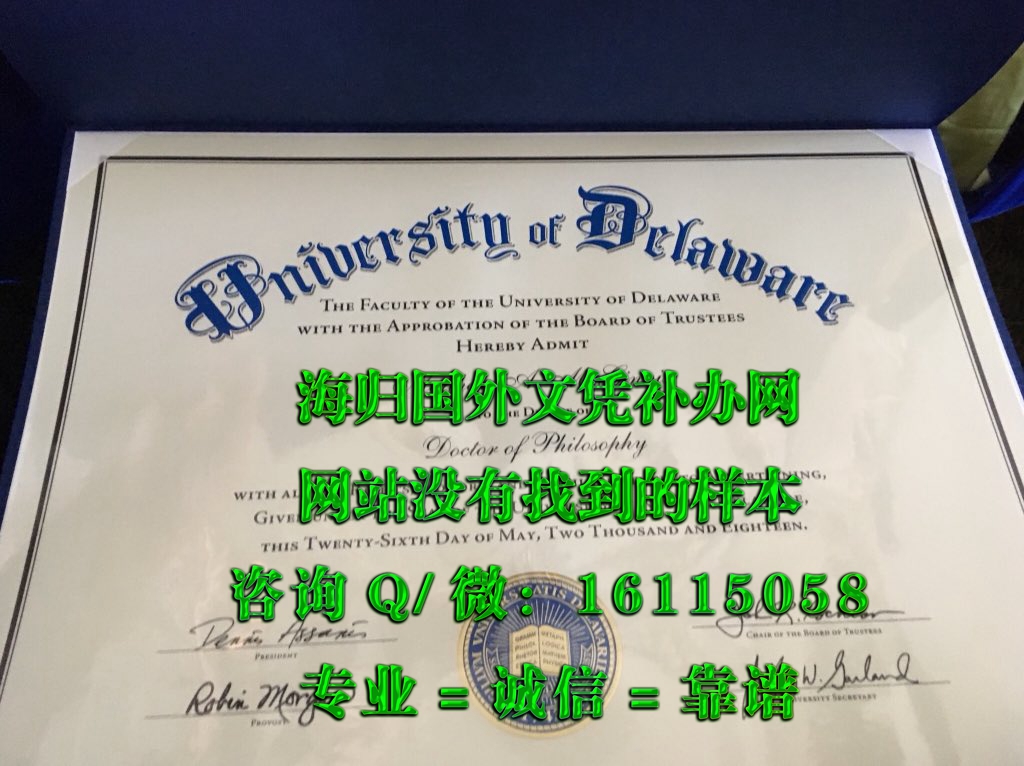 美国特拉华大学_副本