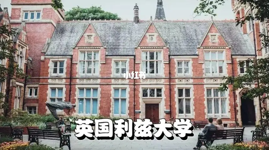 TJX成为美国最大服...